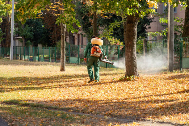 Best Pest Control Near Me  in Marathon, FL