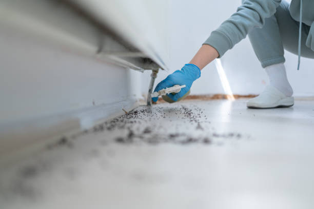 Pest Control Cost in Marathon, FL